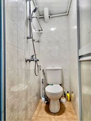 Lakeview Estate (D20), Apartment #623348181